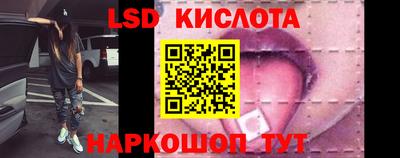 прущие грибы Будённовск