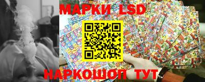 прущие грибы Будённовск