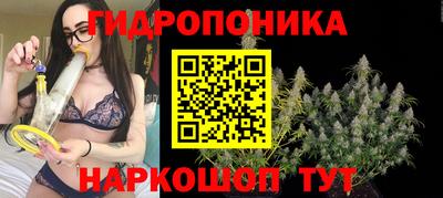 соль ск Кандалакша
