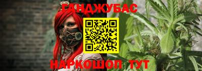 прущие грибы Будённовск